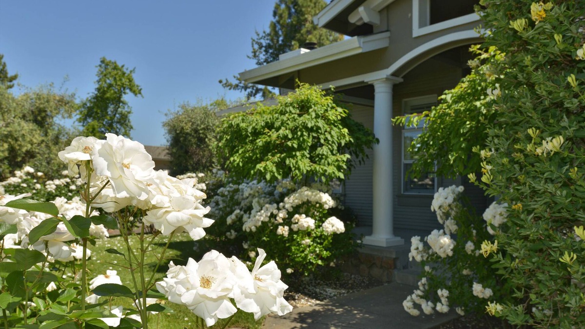 Yountville House | Elegant Yountville Retreat.Your Wine Country Vacation Begins at Your Doorstep