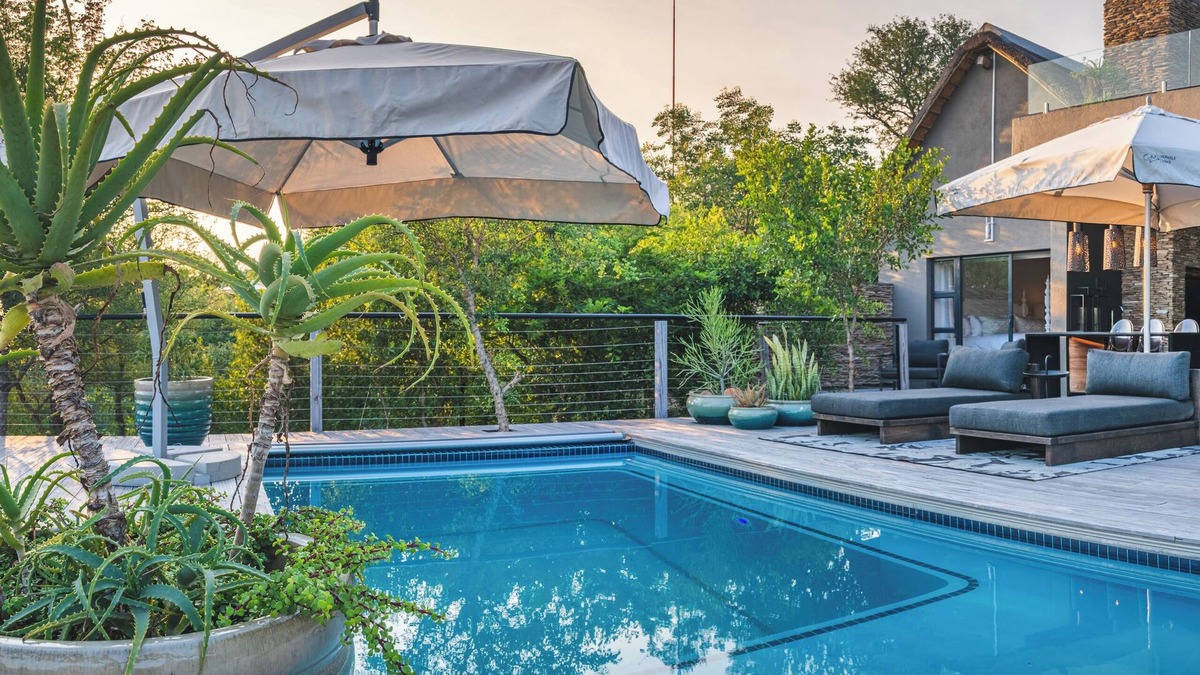 Belfast House | Elephant Point