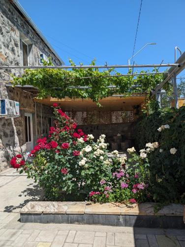 Yeghegnadzor House | Eleven - 11