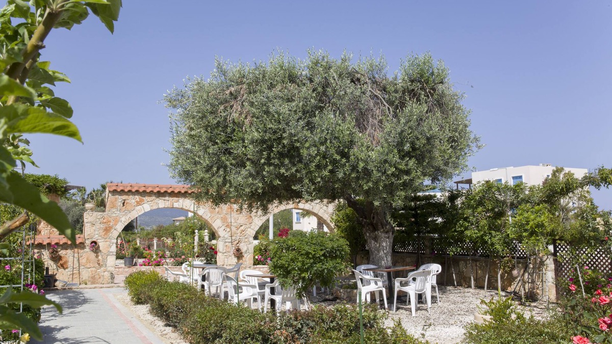 Latchi House | Eliofos Elegant Maisonettes