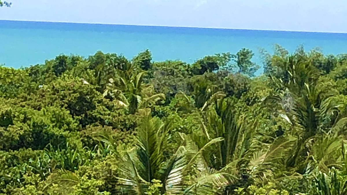 Trancoso House | Eliza Bungalow, luxury with sea view in Trancoso