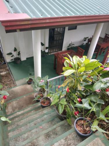 Kumbalwela House | Ella Nature Breeze