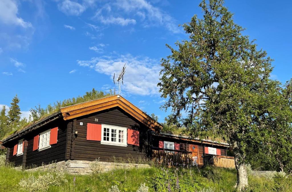 Venabygd House | Elveseter - log cabin with an amazing view