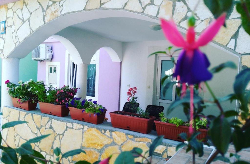 Gregovica Apartment | Ema & Sea Apartment's