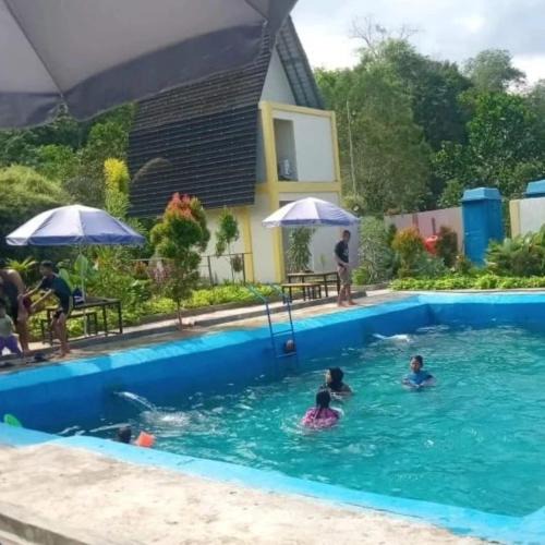 Kalimantan Hotel | Embun Pagi Alami