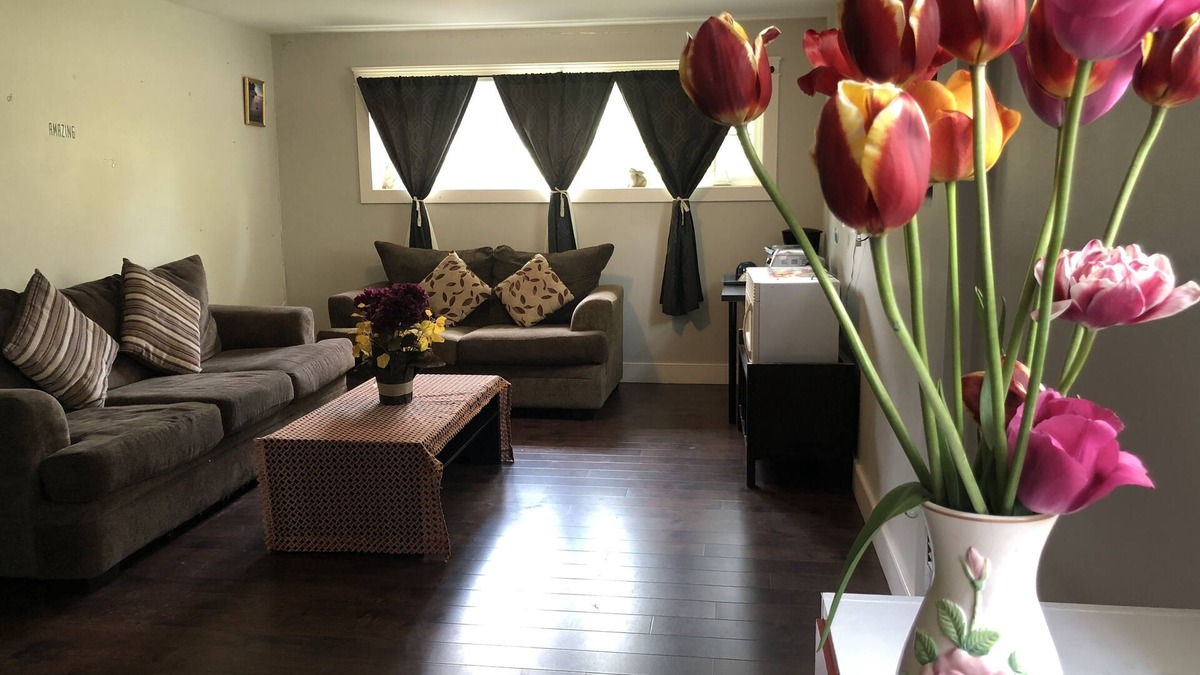 Charlottetown House | Emerald Gem is a beautiful Guest House near everything: Water, Park & Downtown