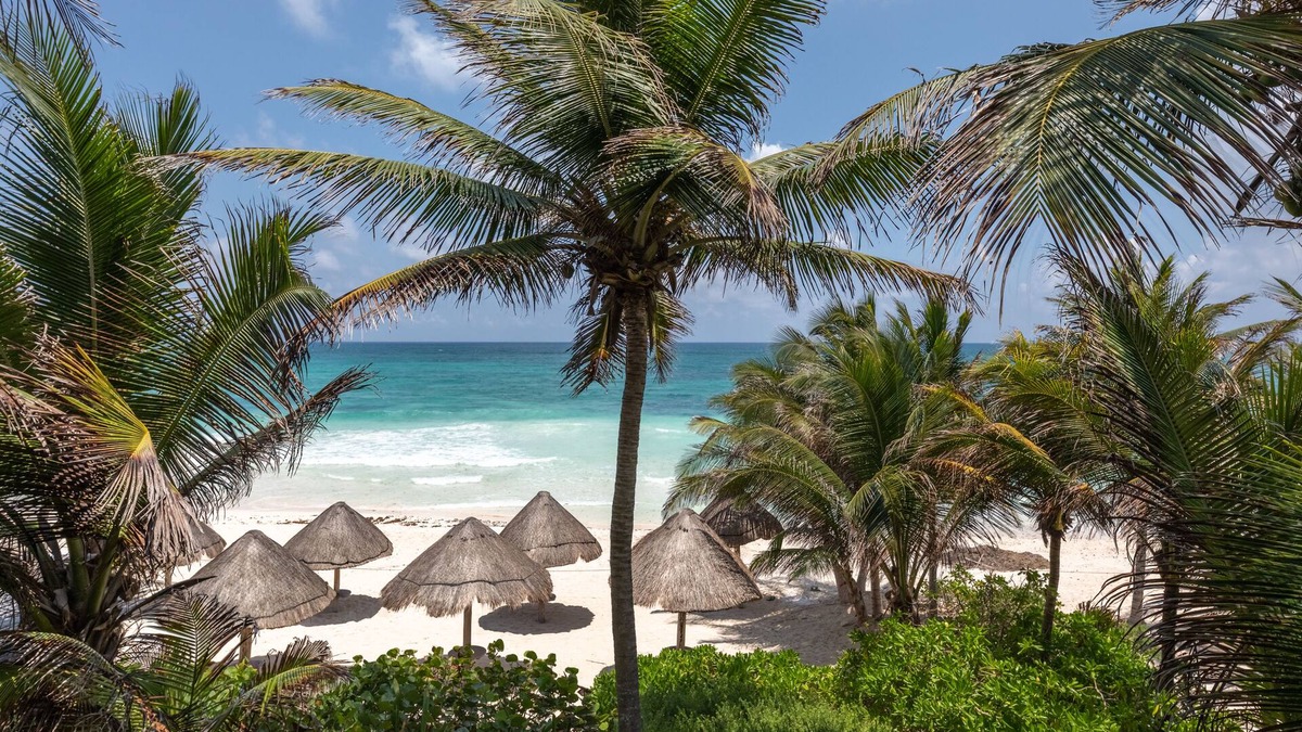 Zona Hotelera Resort | Encantada Tulum