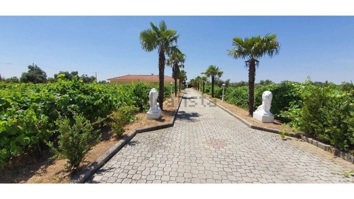 Reguengos de Monsaraz House | Encanto da Planície