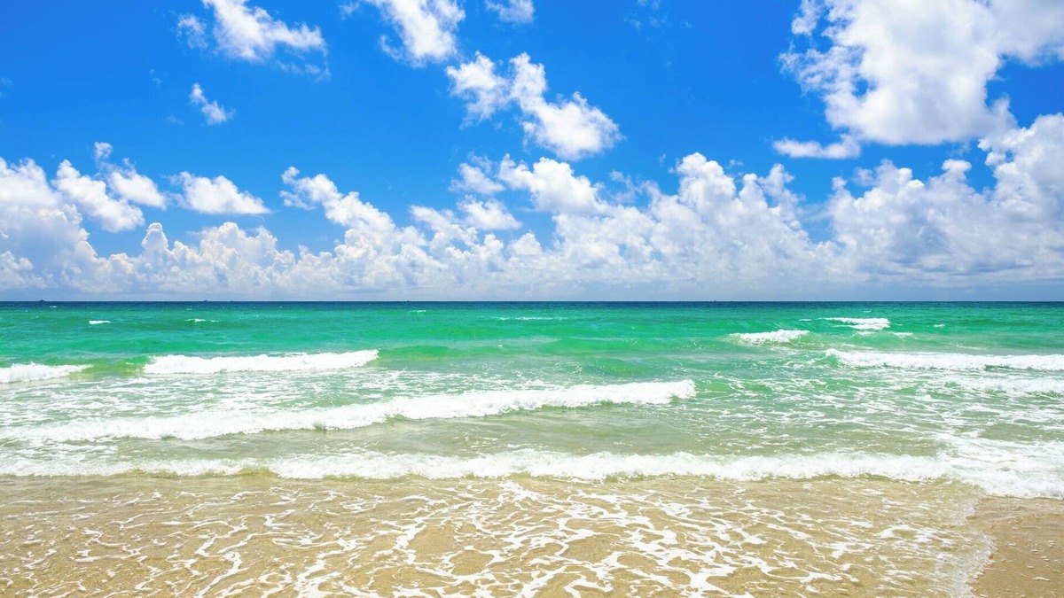 Hollywood South Central Beach Resort | Enchanted Isle Resort 1 Bedroom Kitchen sleeps 4n Avail week Oct 25-Nov 1
