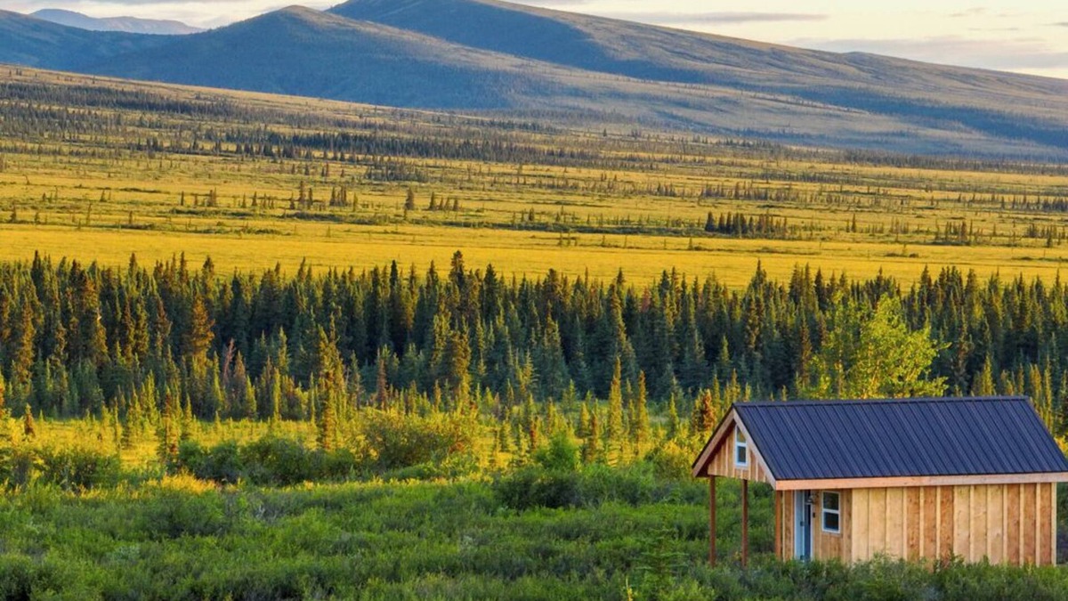 Healy Cabin | End of Stampede Dry Cabin, Near Denali