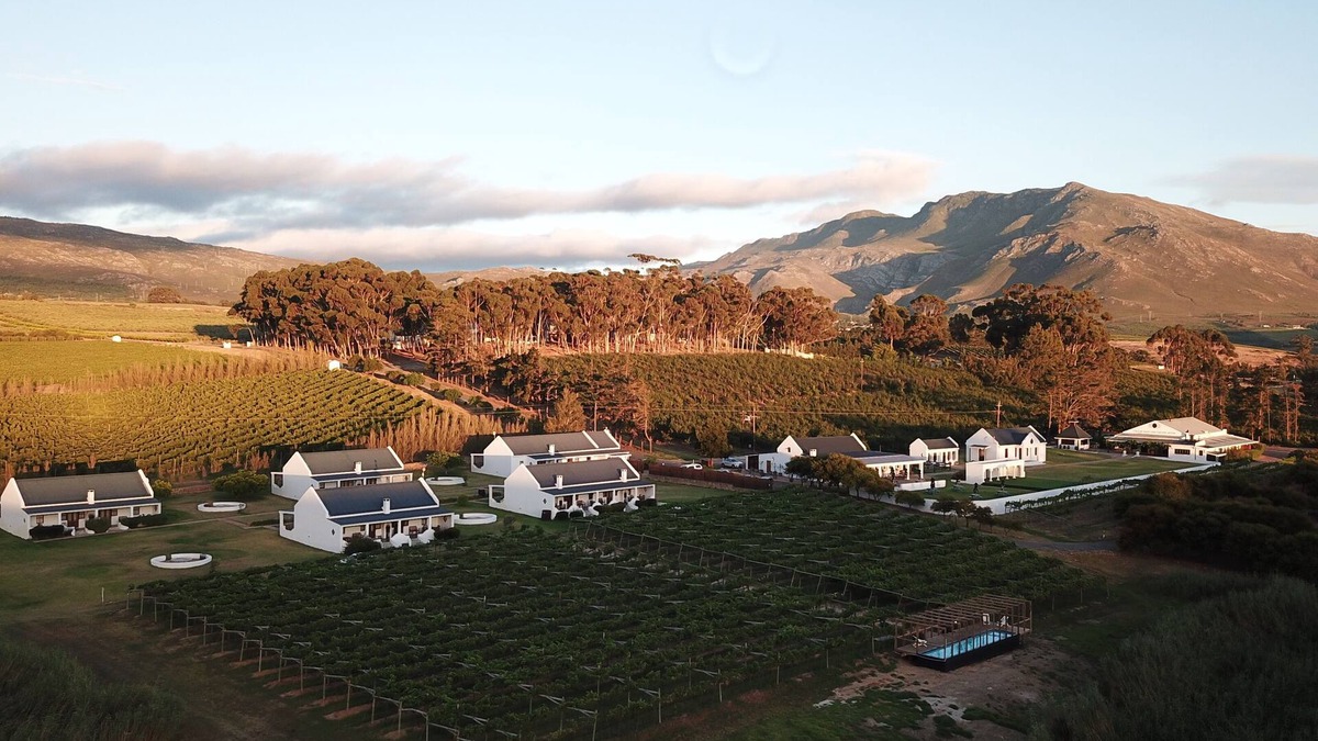 Bot River Cottage | Endless Vineyards at Wildekrans Wine Estate