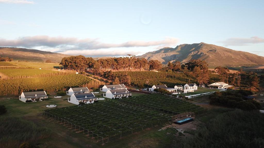 Bot River House | Endless Vineyards at Wildekrans Wine Estate
