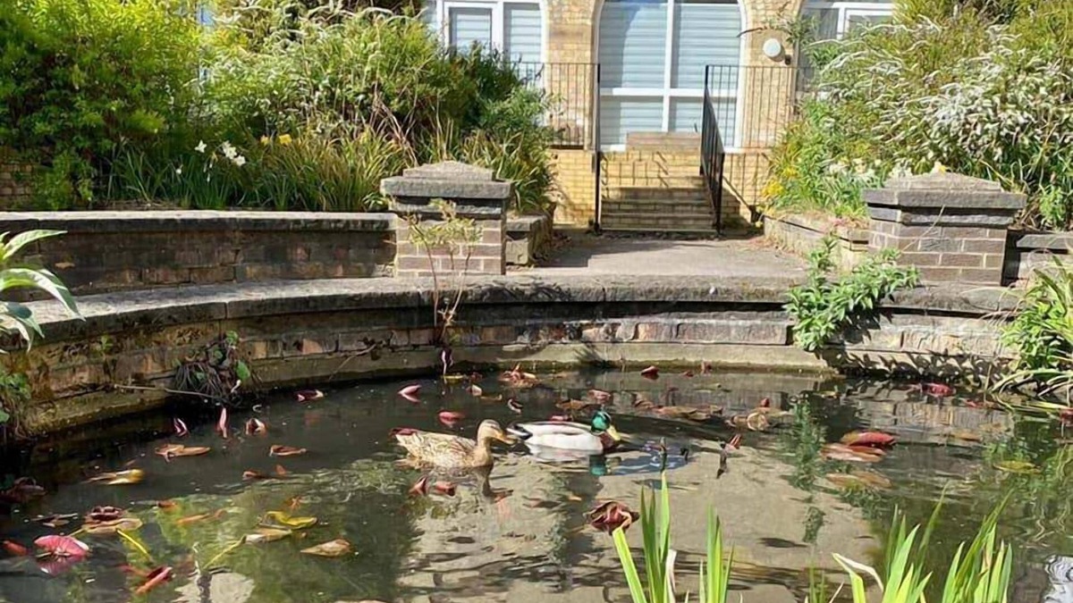 Hull Hotel | Endsleigh Park