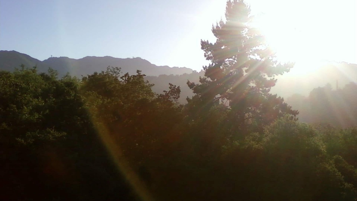 Topanga Apartment | Enjoy a spacious, artistic studio in Nature