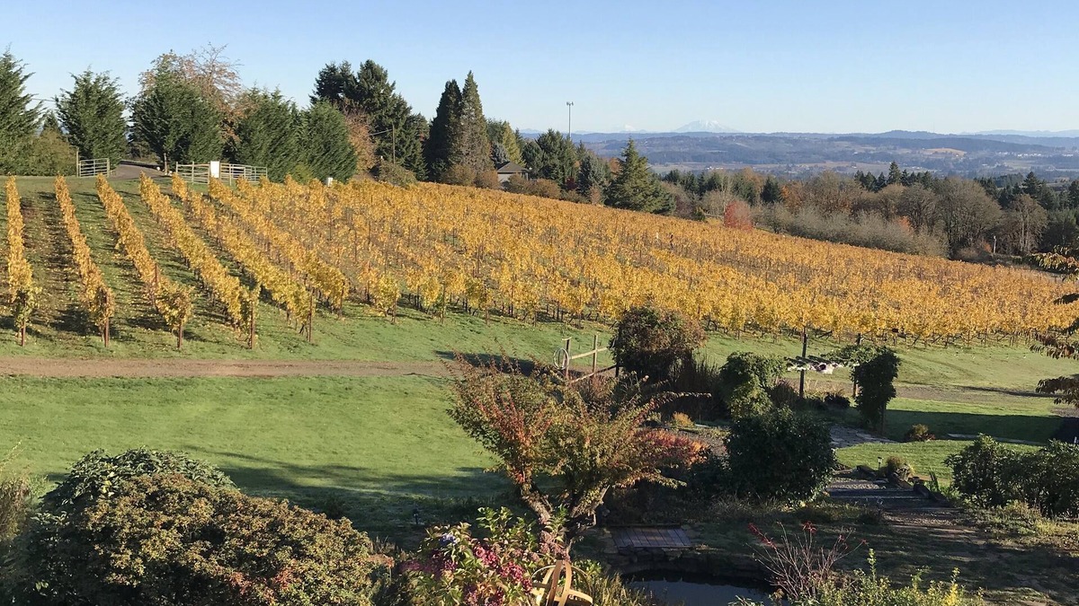 Newberg Apartment | Enjoy a weekend in Oregon's Amazing Wine Country
