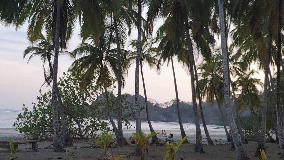 Samara House | Enjoy Casa Tropical which offers a quiet and safe home to relax in!
