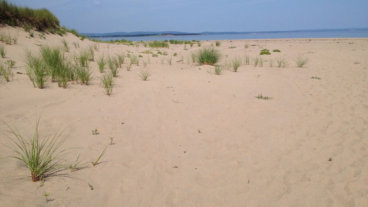 Bayfield Cottage | Enjoy Gorgeous Sunsets On This Rare Sandy Beach.