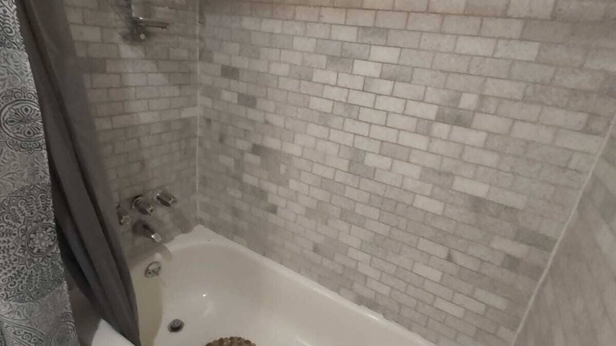 Town N County Park Apartment | Enjoy Tampa and Clearwater-st Pete
