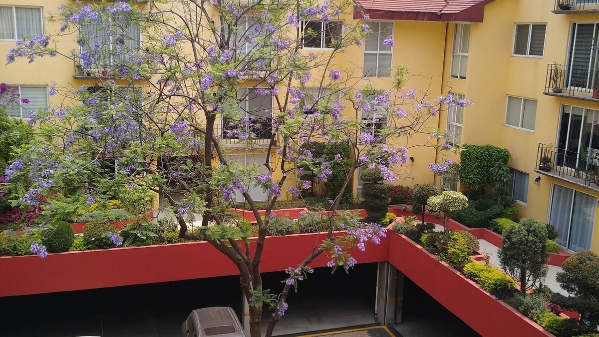 Coyoacan Apartment | Enjoy the best location on Mexico City in San Angel