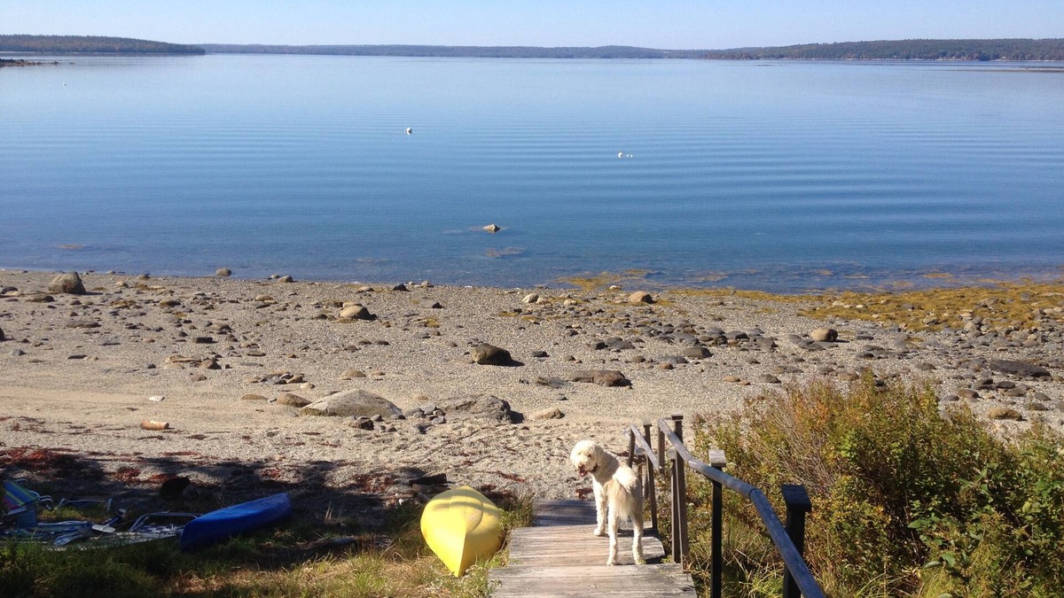Surry House | Enjoy the Maine Coast-On the Water