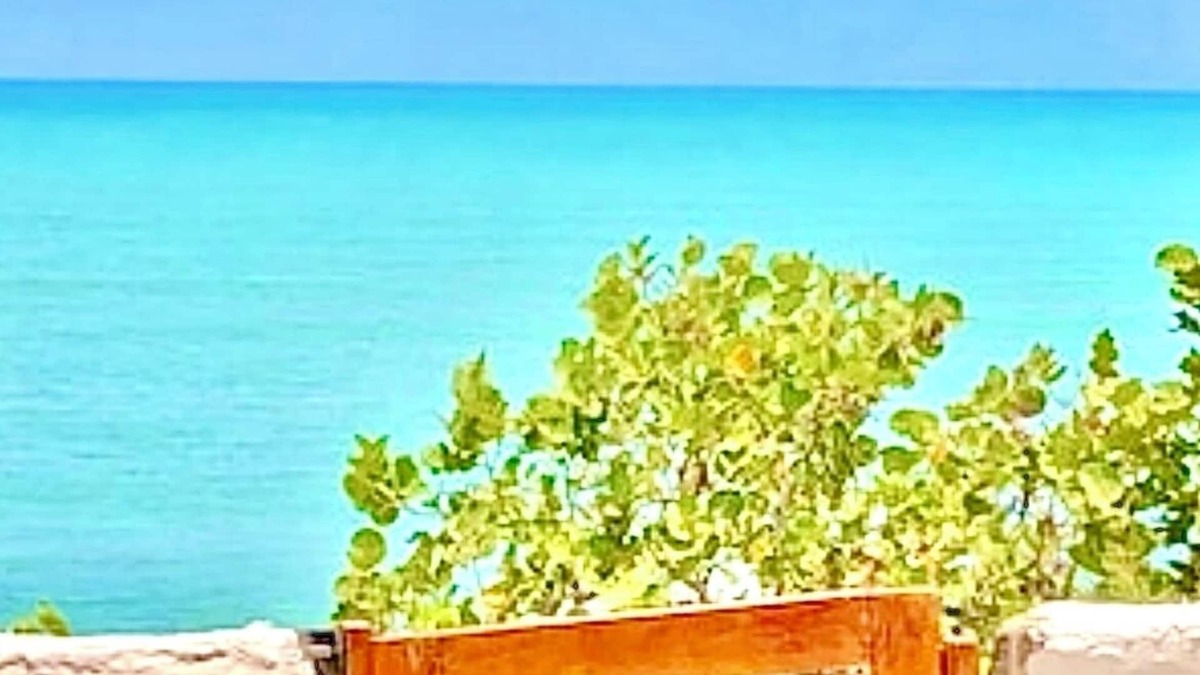 Costa Caribe Cabin | Enjoy the ocean, the solitaire beach and a full service housekeeping