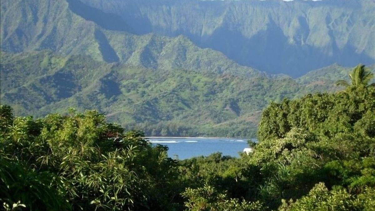 Princeville Villa | Enjoy the View - Listen to Nature - Hanalei Bay Villa #37