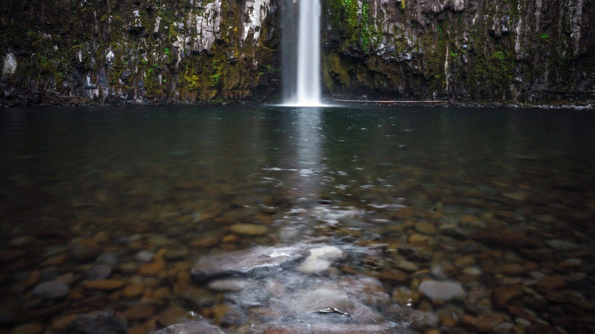 Opal Cliffs House | Enjoy this unique all suite Fairfield Inn