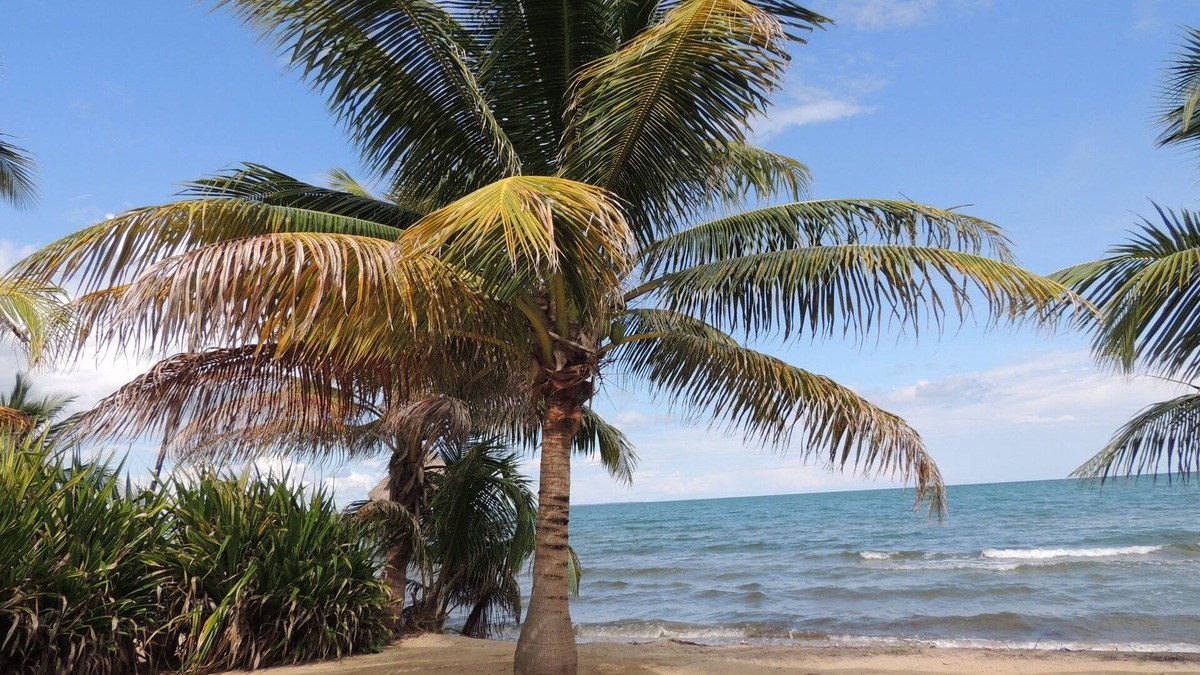 Sittee Point House | Enjoy your vacation on the beach, living in an amazing beachfront home.