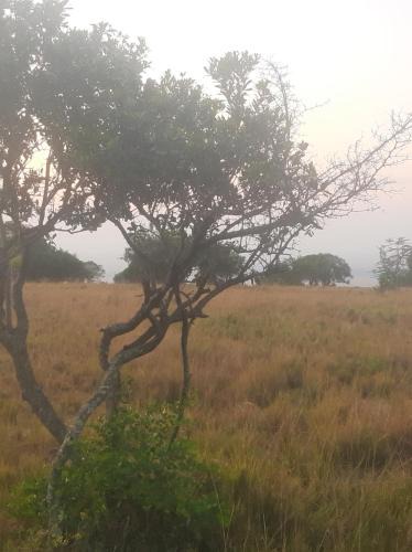 Mara North Conservancy Other | Enkereri Camp Maasai Mara