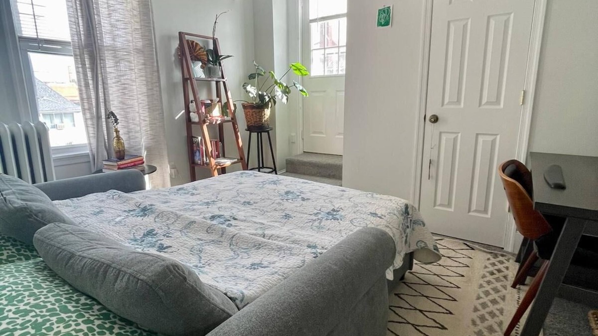 Washington House | Entire House: Free Parking, Walk from Metro - Eco-friendly in Washington, DC!