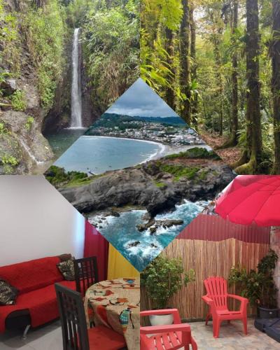 Gros-Morne Apartment | Entre forêt et mer