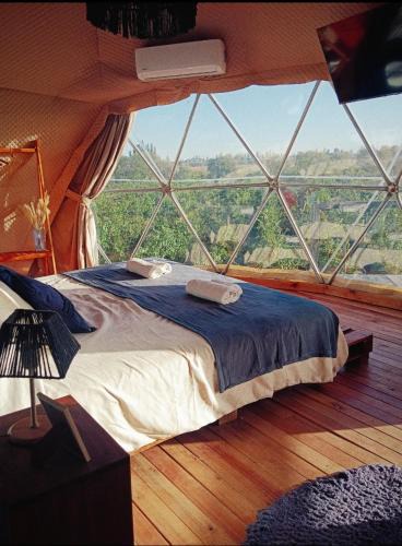 Chacras de Coria Other | Entre racimos, glamping entre viñedos en bodega