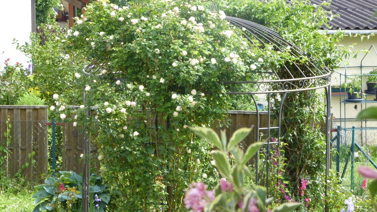 Dennach Apartment | Enzkreisspitze garden apartment