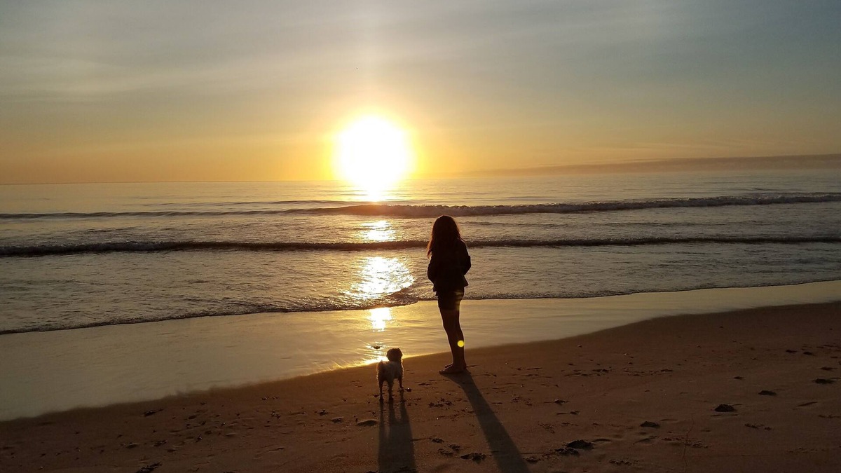 Wanchese House | Equine and K9 Friendly lodging in the Outer Banks, NC