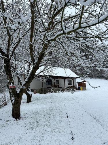 Mikohaza Apartment | Erdőhangja Vendégház