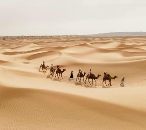 M'Hamid El Ghizlane Bed & Breakfast | Erg Chegaga nomad tour