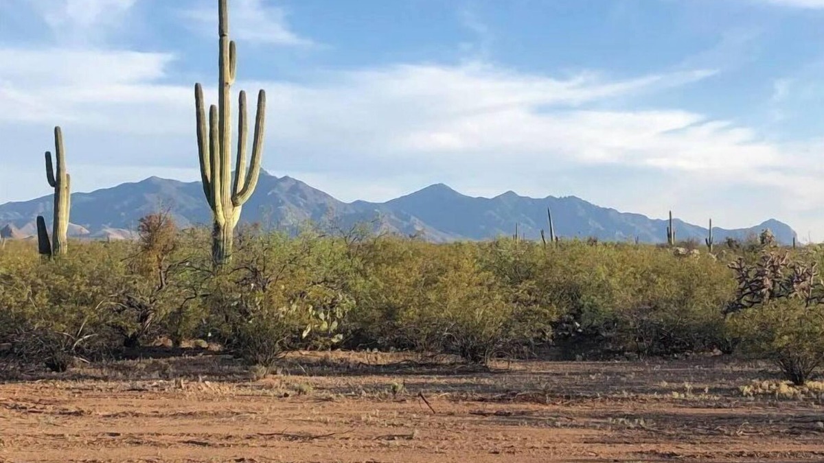 Sahuarita House | Escape away to a home where on a clear night you can gaze at the stars above.