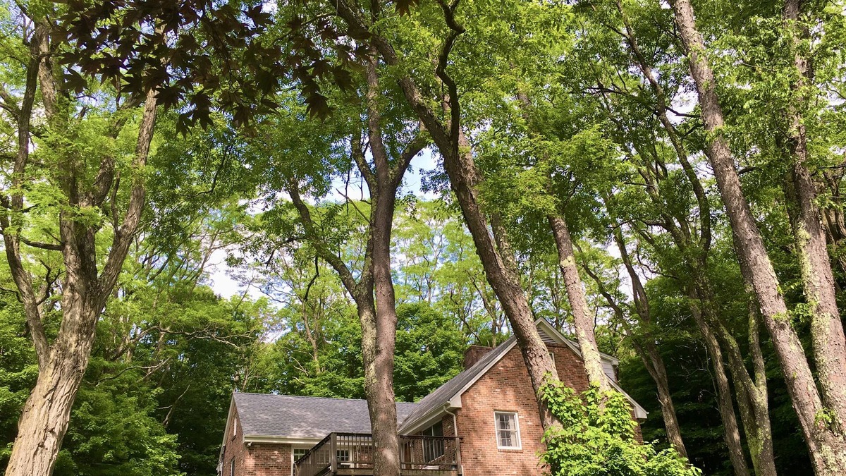 Canton House | Escape to a modern rustic retreat in the heart of nature!