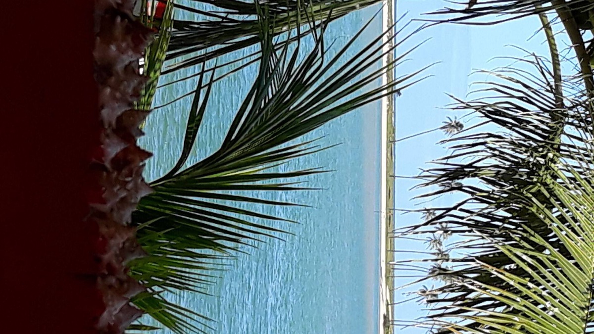 Camacari de Dentro House | Escape to paradise on the Jacuipe River!