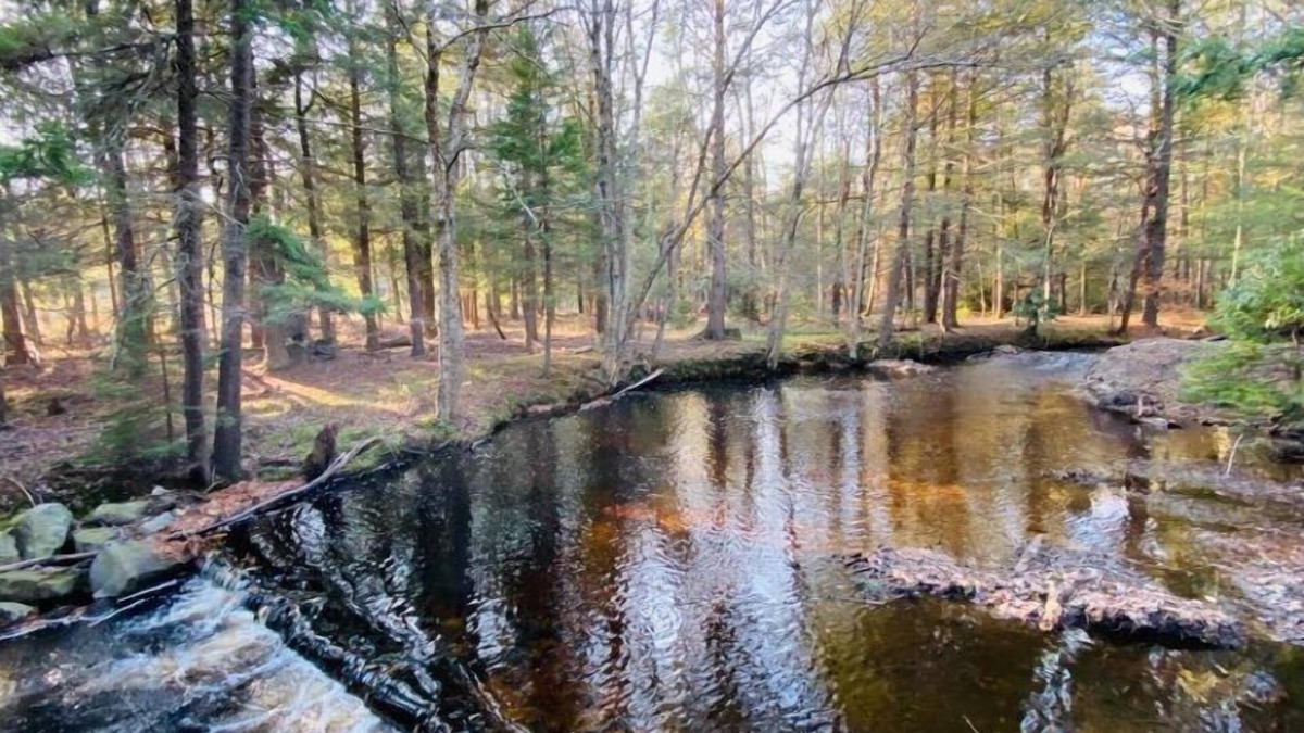 Pocono Lake Cabin | Escape to Serenity: Monthly Cottage Rental by the Stream in Pocono Lake!