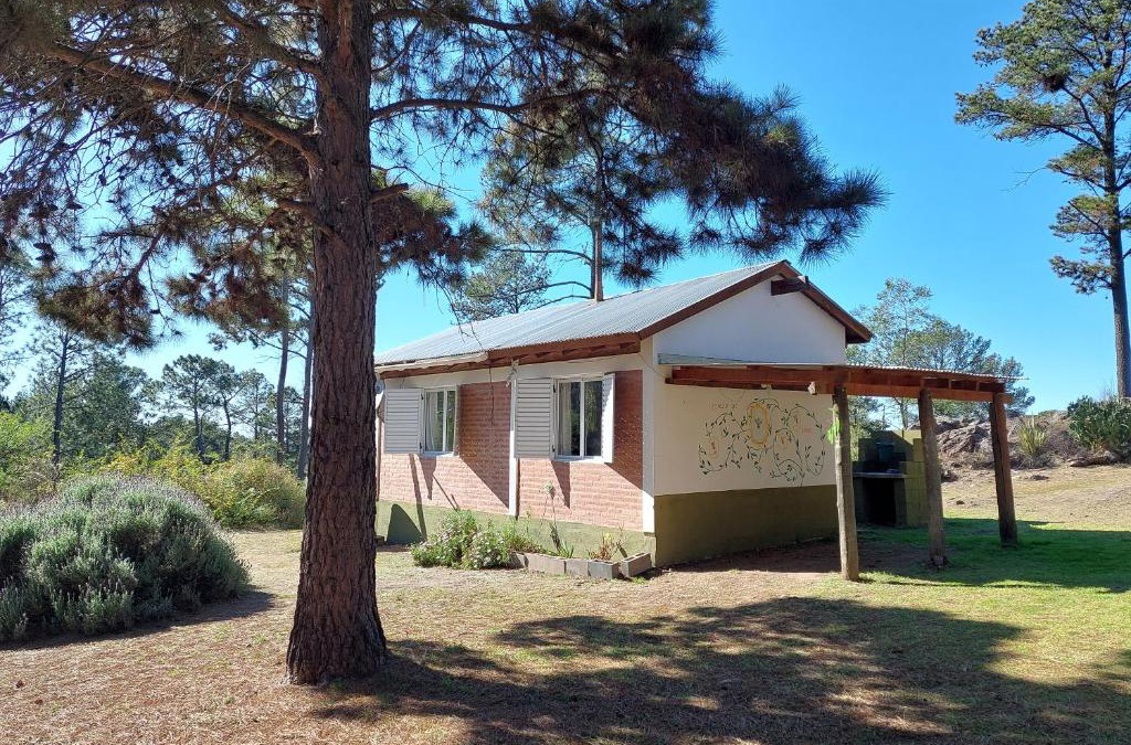 Calamuchita Department Ski Chalet | Espejo de Hadas - Terrafirme