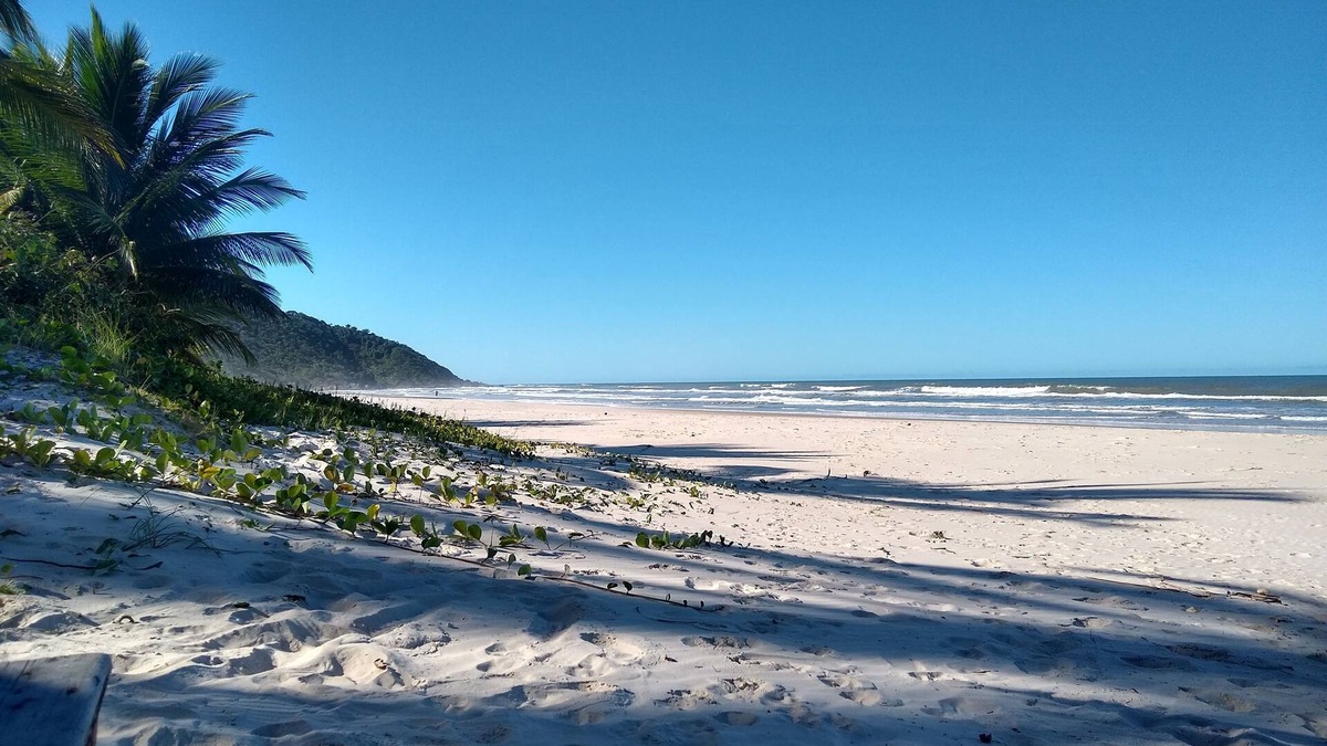 Itacare House | Estúdio na Beira da Praia em Serra Grande