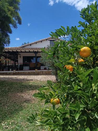 Villa de Leyva Hotel | Estancia Villa Blanca