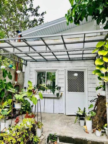 San Antonio House | Estelas Garden & Tiny House