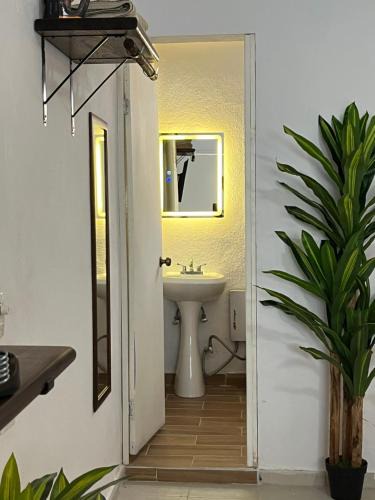 Downtown San Jose del Cabo Apartment | Estudio céntrico con diseño industrial