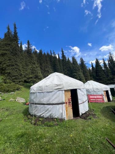 Teploklyuchenka Bed & Breakfast | "Ethno Yurt Camp Argymak" Altyn Arashan