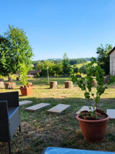 Bezdekov Hotel | European House Of Yoga Light