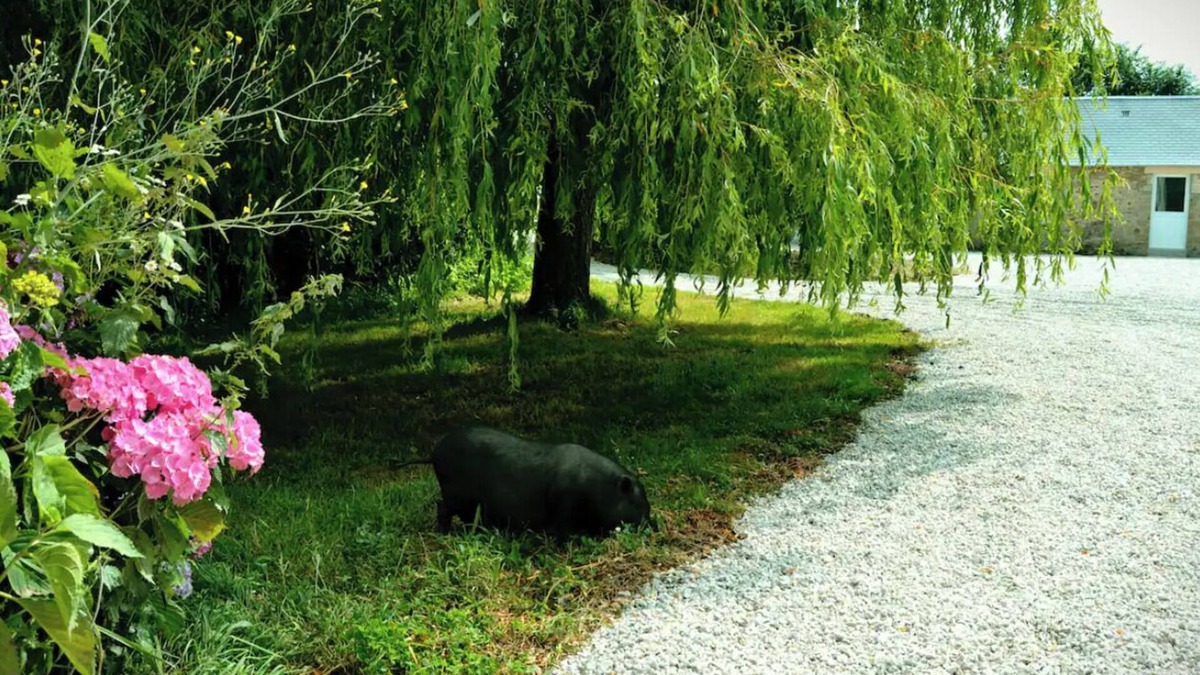 Ozeville House | Evasion Entre Terre et mer