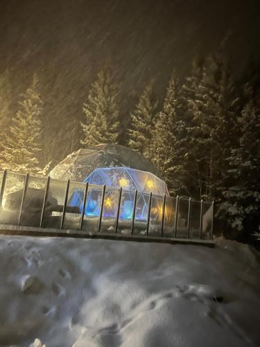 Evenes Other | Evenes Artic glamping
