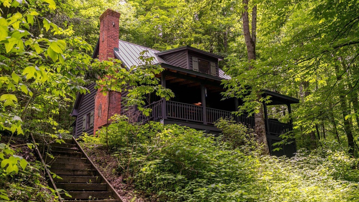 Zionville Cabin | Evergreen Escape - Pet Friendly Forest Cabin with Hot Tub!